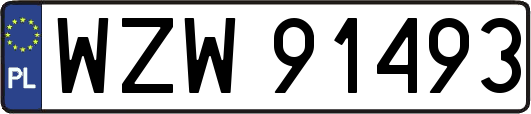 WZW91493