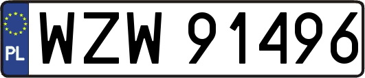 WZW91496