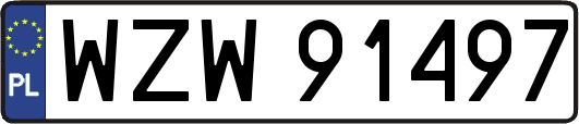 WZW91497