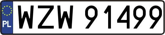 WZW91499