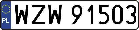 WZW91503