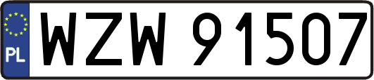 WZW91507