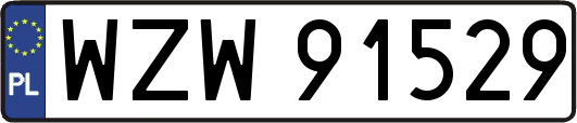 WZW91529