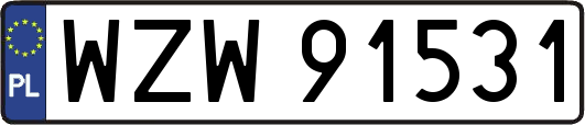 WZW91531