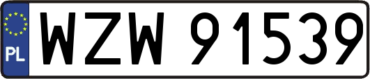 WZW91539