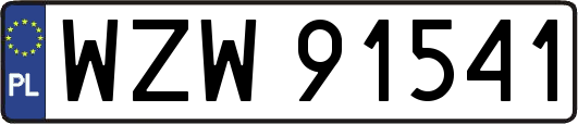 WZW91541