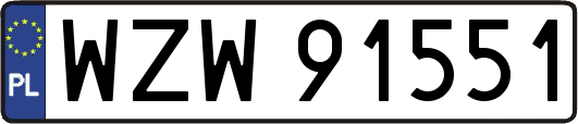 WZW91551