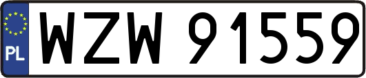 WZW91559