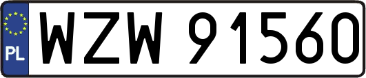 WZW91560