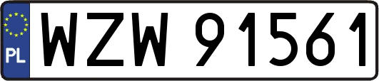 WZW91561