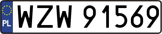 WZW91569