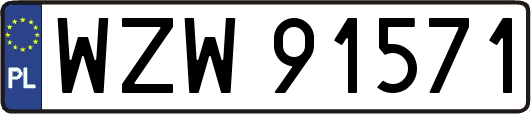 WZW91571