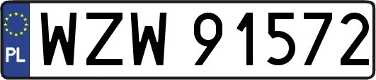 WZW91572