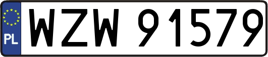 WZW91579