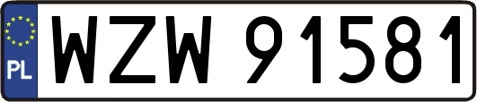 WZW91581