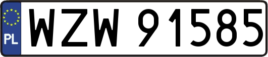 WZW91585