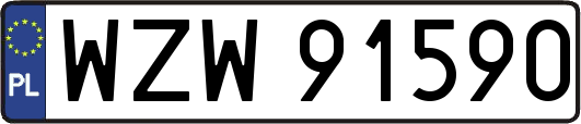 WZW91590