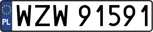 WZW91591