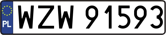WZW91593