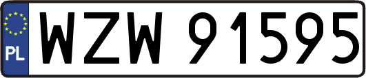 WZW91595