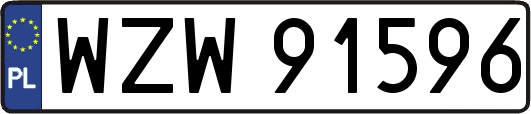 WZW91596