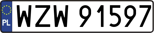 WZW91597