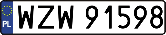 WZW91598
