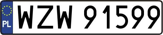 WZW91599