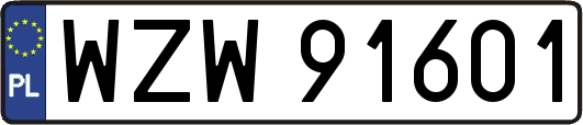 WZW91601