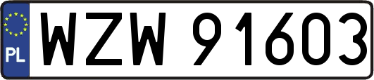 WZW91603