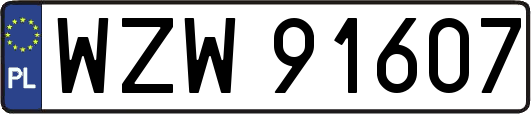 WZW91607