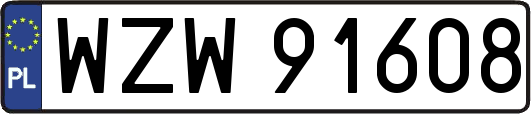 WZW91608