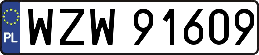 WZW91609