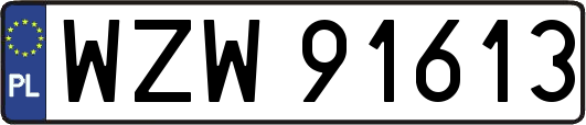 WZW91613