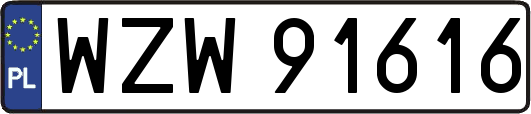 WZW91616