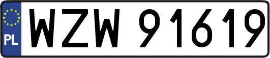WZW91619