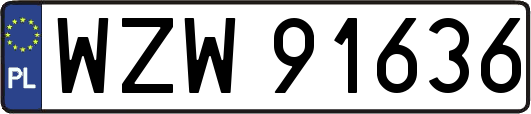 WZW91636