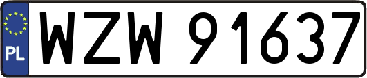 WZW91637