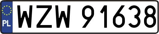 WZW91638