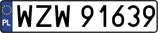 WZW91639