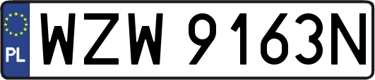 WZW9163N