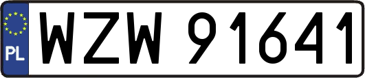 WZW91641
