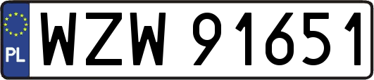 WZW91651