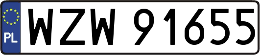 WZW91655