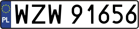 WZW91656
