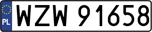 WZW91658