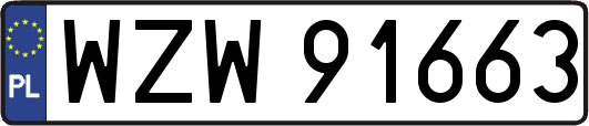 WZW91663