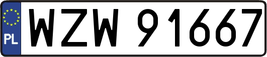 WZW91667