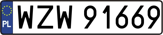 WZW91669