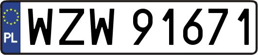 WZW91671